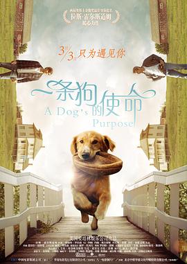 国产尹人香蕉综合在线电影
